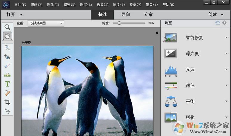 Adobe Photoshop Elements 2019绿色精简版（无需激活免费用）