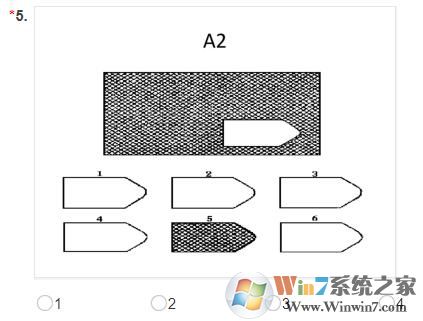 智力测试软件下载_瑞文智力测试绿色版