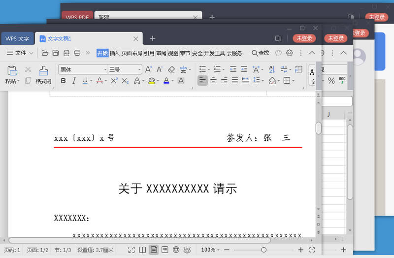 WPS Office 2019 v11.8.6.8810 专业增强版