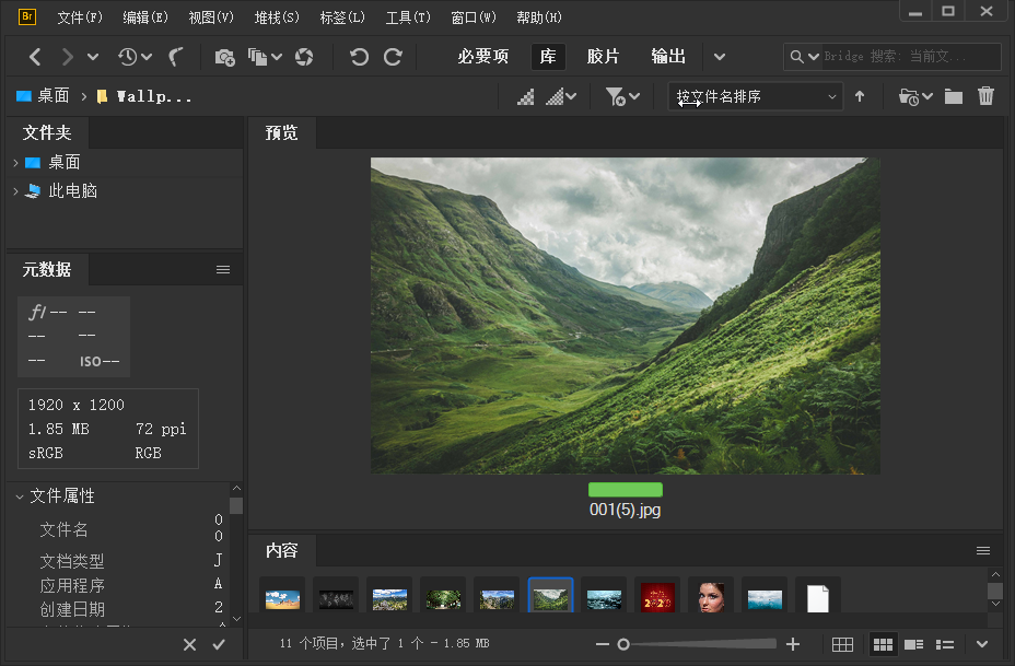 Adobe Bridge 2021 (v11.0.0.83.0) 特别版
