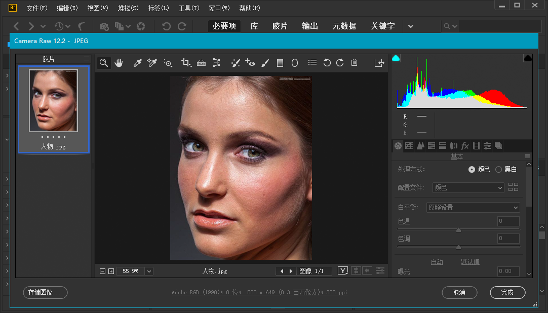 Adobe Bridge 2020 (10.0.4.157.0) 特别版