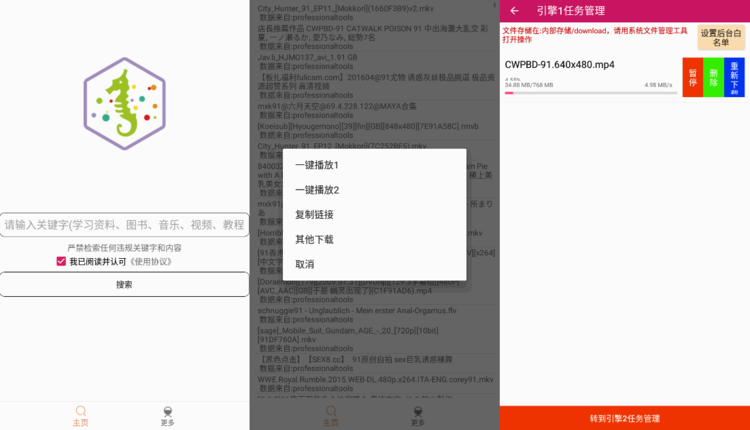 比特舟PRO 20.11.06.13 免费无广告磁力爬虫